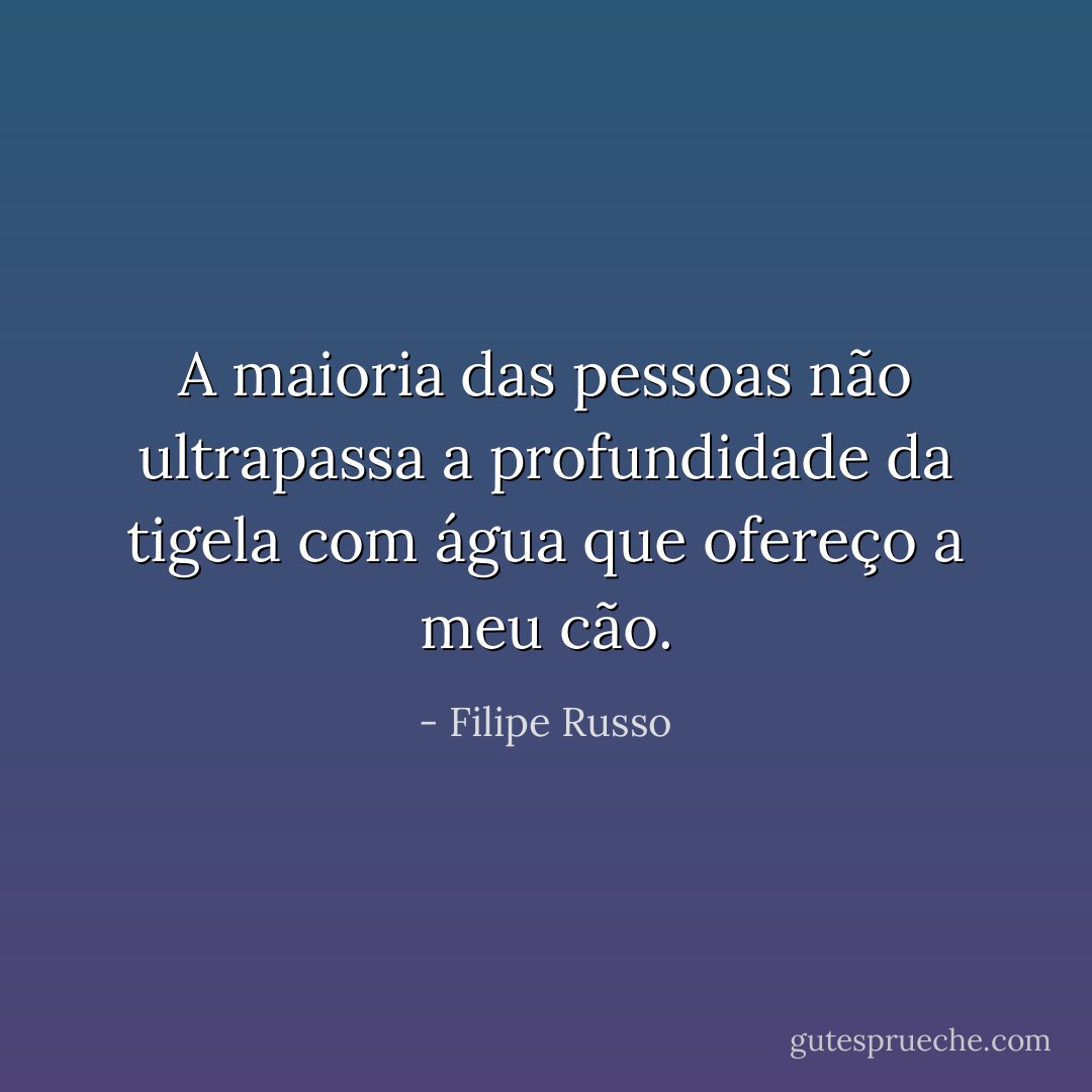 A maioria das pessoas não ultrapassa a profundidade da tigela com água que ofereço a meu cão. - Filipe Russo