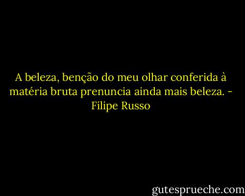 A beleza, benção do meu olhar conferida à matéria bruta prenuncia ainda mais beleza. - Filipe Russo