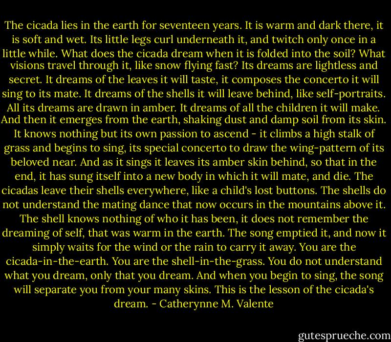 The cicada lies in the earth for seventeen years. It is warm and dark there, it is soft and wet. Its little legs curl underneath it, and twitch only once in a little while. What does the cicada dream when it is folded into the soil? What visions travel through it, like snow flying fast? Its dreams are lightless and secret. It dreams of the leaves it will taste, it composes the concerto it will sing to its mate. It dreams of the shells it will leave behind, like self-portraits. All its dreams are drawn in amber. It dreams of all the children it will make.<br />And then it emerges from the earth, shaking dust and damp soil from its skin. It knows nothing but its own passion to ascend - it climbs a high stalk of grass and begins to sing, its special concerto to draw the wing-pattern of its beloved near. And as it sings it leaves its amber skin behind, so that in the end, it has sung itself into a new body in which it will mate, and die.<br />The cicadas leave their shells everywhere, like a child's lost buttons. The shells do not understand the mating dance that now occurs in the mountains above it. The shell knows nothing of who it has been, it does not remember the dreaming of self, that was warm in the earth. The song emptied it, and now it simply waits for the wind or the rain to carry it away.<br />You are the cicada-in-the-earth. You are the shell-in-the-grass. You do not understand what you dream, only that you dream. And when you begin to sing, the song will separate you from your many skins.<br />This is the lesson of the cicada's dream. - Catherynne M. Valente
