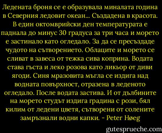Ледената броня се е образувала миналата година в Северния ледовит океан... Създадена в красота. В един октомврийски ден температурата е паднала до минус 30 градуса за три часа и морето е застинало като огледало. За да се пресъздаде чудото на сътворението. Облаците и морето се сливат в завеса от тежка сива коприна. Водата става гъста и леко розова като ликьор от диви ягоди. Синя мразовита мъгла се издига над водната повърхност, отразена в леденото огледало. После водата застива. И от дълбините на морето студът издига градина с рози, бял килим от ледени цветя, сътворени от солените замръзнали водни капки. - Peter Høeg