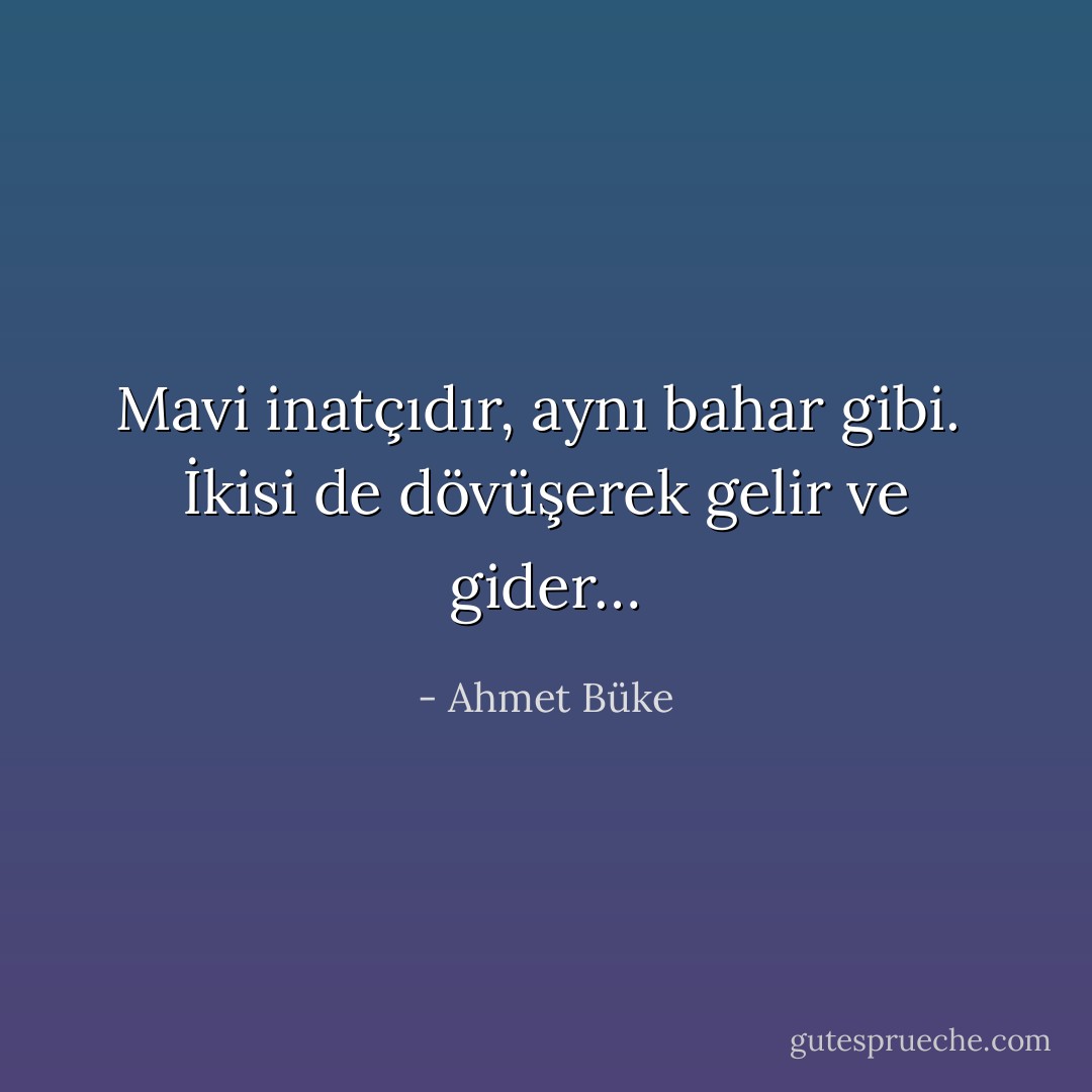 Mavi inatçıdır, aynı bahar gibi. <br />İkisi de dövüşerek gelir ve gider… - Ahmet Büke