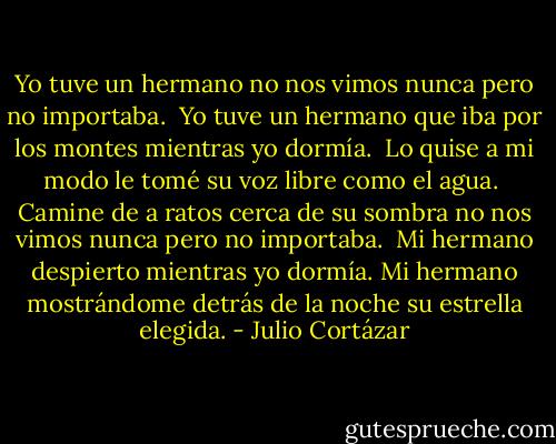 Yo tuve un hermano<br />no nos vimos nunca<br />pero no importaba.<br /><br />Yo tuve un hermano<br />que iba por los montes<br />mientras yo dormía.<br /><br />Lo quise a mi modo<br />le tomé su voz<br />libre como el agua.<br /><br />Camine de a ratos<br />cerca de su sombra<br />no nos vimos nunca<br />pero no importaba.<br /><br />Mi hermano despierto<br />mientras yo dormía.<br />Mi hermano mostrándome<br />detrás de la noche<br />su estrella elegida. - Julio Cortázar