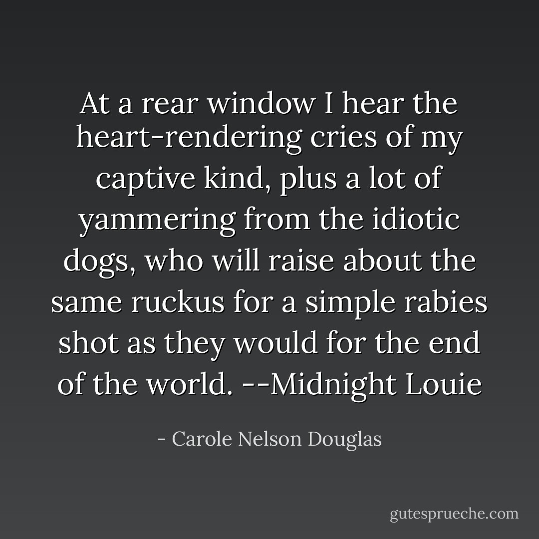 At a rear window I hear the heart-rendering cries of my captive kind, plus a lot of yammering from the idiotic dogs, who will raise about the same ruckus for a simple rabies shot as they would for the end of the world.<br />--Midnight Louie - Carole Nelson Douglas
