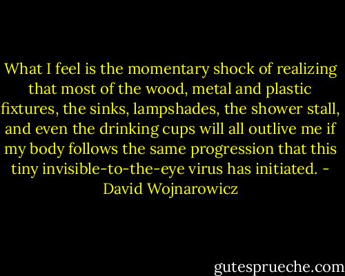 What I feel is the momentary shock of realizing that most of the wood, metal and plastic fixtures, the sinks, lampshades, the shower stall, and even the drinking cups will all outlive me if my body follows the same progression that this tiny invisible-to-the-eye virus has initiated. - David Wojnarowicz