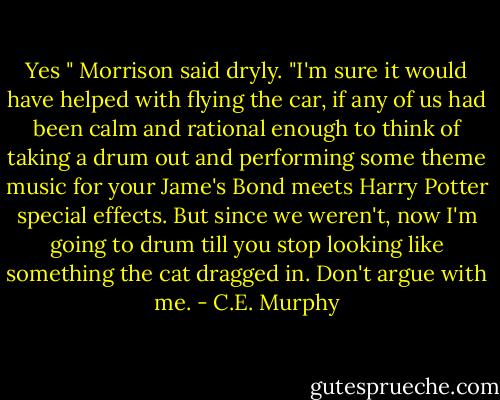 Yes " Morrison said dryly. "I'm sure it would have helped with flying the car, if any of us had been calm and rational enough to think of taking a drum out and performing some theme music for your Jame's Bond meets Harry Potter special effects. But since we weren't, now I'm going to drum till you stop looking like something the cat dragged in. Don't argue with me. - C.E. Murphy