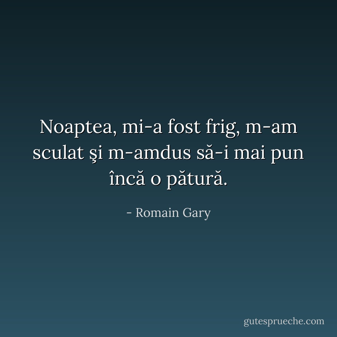 Noaptea, mi-a fost frig, m-am sculat şi m-amdus să-i mai pun încă o pătură. - Romain Gary