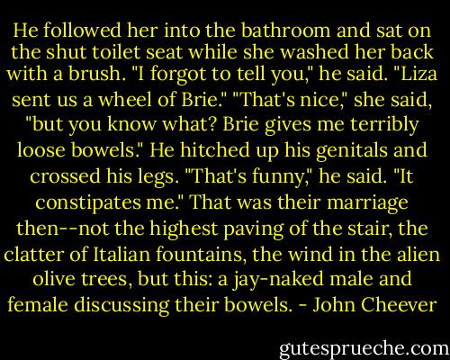 He followed her into the bathroom and sat on the shut toilet seat while she washed her back with a brush. "I forgot to tell you," he said. "Liza sent us a wheel of Brie." "That's nice," she said, "but you know what? Brie gives me terribly loose bowels." He hitched up his genitals and crossed his legs. "That's funny," he said. "It constipates me." That was their marriage then--not the highest paving of the stair, the clatter of Italian fountains, the wind in the alien olive trees, but this: a jay-naked male and female discussing their bowels. - John Cheever