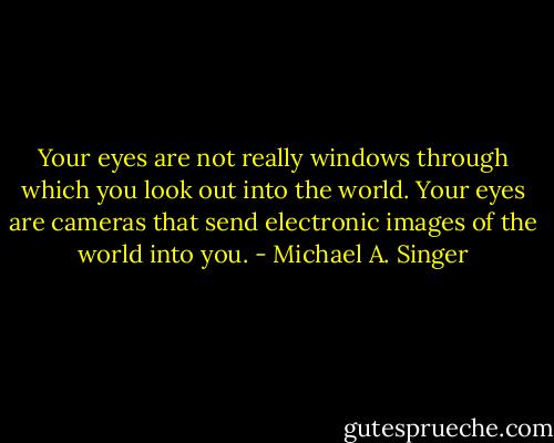 Your eyes are not really windows through which you look out into the world. Your eyes are cameras that send electronic images of the world into you. - Michael A. Singer