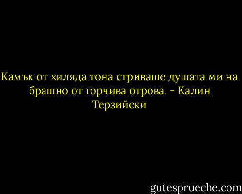 Камък от хиляда тона стриваше душата ми на брашно от горчива отрова. - Калин Терзийски