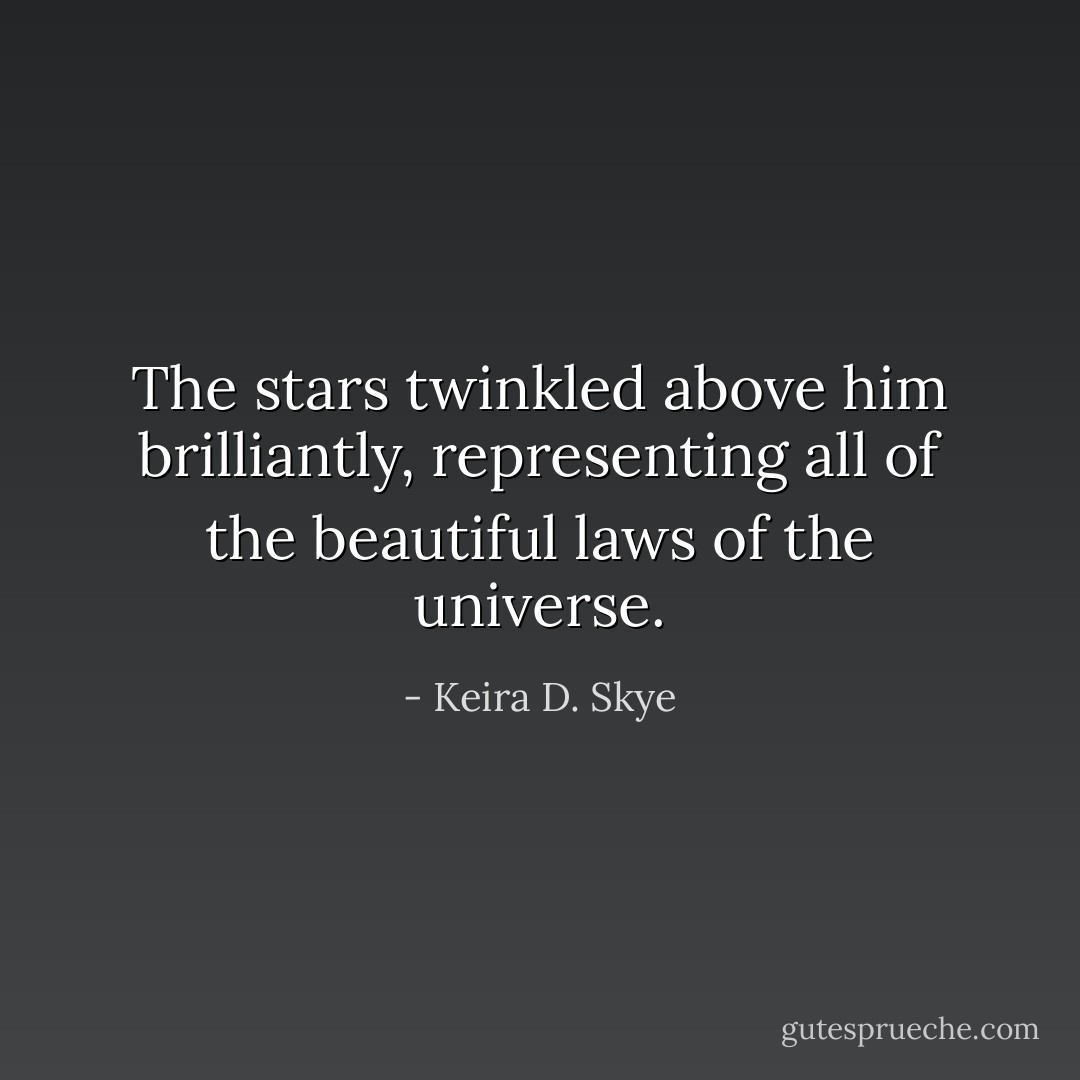 The stars twinkled above him brilliantly, representing all of the beautiful laws of the universe. - Keira D. Skye