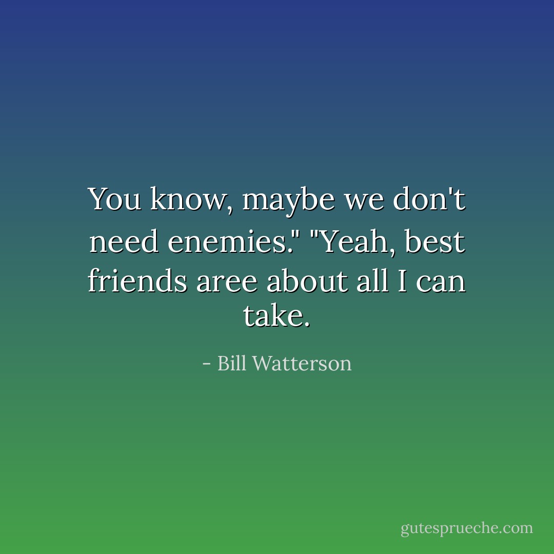 You know, maybe we don't need enemies."<br />"Yeah, best friends aree about all I can take. - Bill Watterson