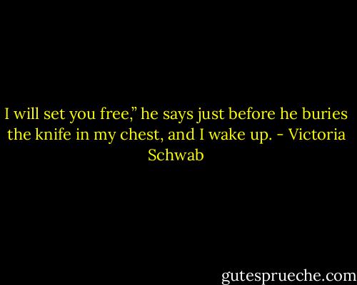 I will set you free,” he says just before he buries the knife in my chest, and I wake up. - Victoria Schwab