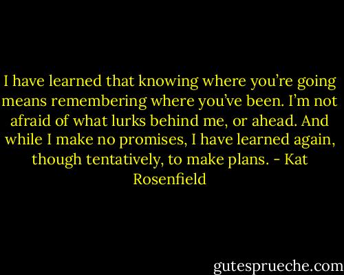 I have learned that knowing where you’re going means remembering where you’ve been. I’m not afraid of what lurks behind me, or ahead. And while I make no promises, I have learned again, though tentatively, to make plans. - Kat Rosenfield