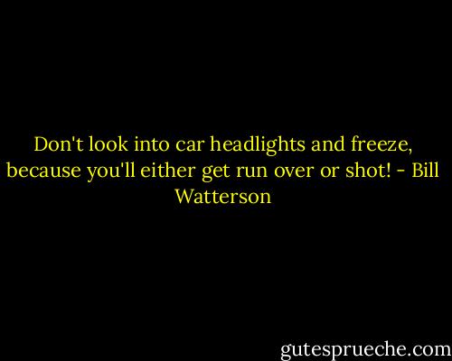 Don't look into car headlights and freeze, because you'll either get run over or shot! - Bill Watterson