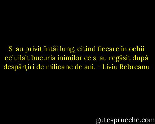 S-au privit întâi lung, citind fiecare în ochii celuilalt bucuria inimilor ce s-au regăsit după despărțiri de milioane de ani. - Liviu Rebreanu
