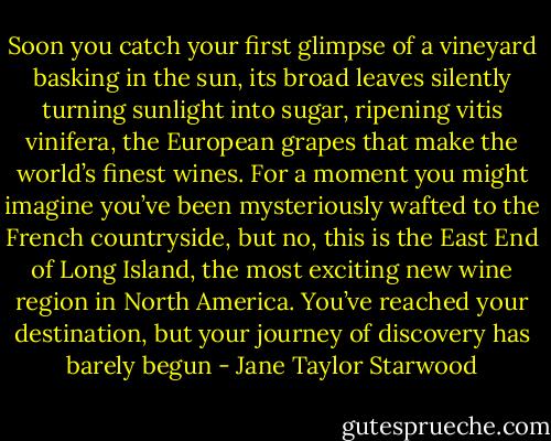 Soon you catch your first glimpse of a vineyard basking in the sun, its broad leaves silently turning sunlight into sugar, ripening vitis vinifera, the European grapes that make the world’s finest wines. For a moment you might imagine you’ve been mysteriously wafted to the French countryside, but no, this is the East End of Long Island, the most exciting new wine region in North America. You’ve reached your destination, but your journey of discovery has barely begun - Jane Taylor Starwood
