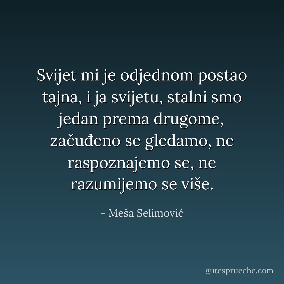 Svijet mi je odjednom postao tajna, i ja svijetu, stalni smo jedan prema drugome, začuđeno se gledamo, ne raspoznajemo se, ne razumijemo se više. - Meša Selimović