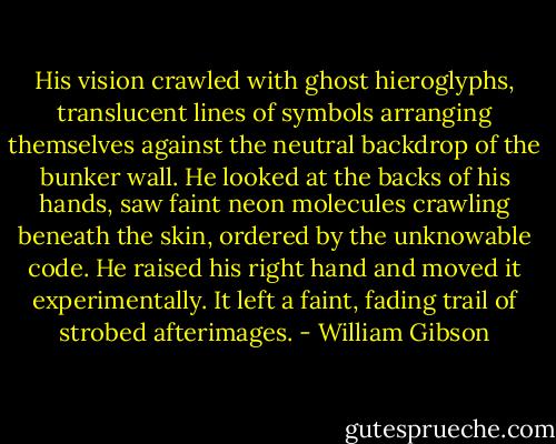 His vision crawled with ghost hieroglyphs, translucent lines of symbols arranging themselves against the neutral backdrop of the bunker wall. He looked at the backs of his hands, saw faint neon molecules crawling beneath the skin, ordered by the unknowable code. He raised his right hand and moved it experimentally. It left a faint, fading trail of strobed afterimages. - William Gibson