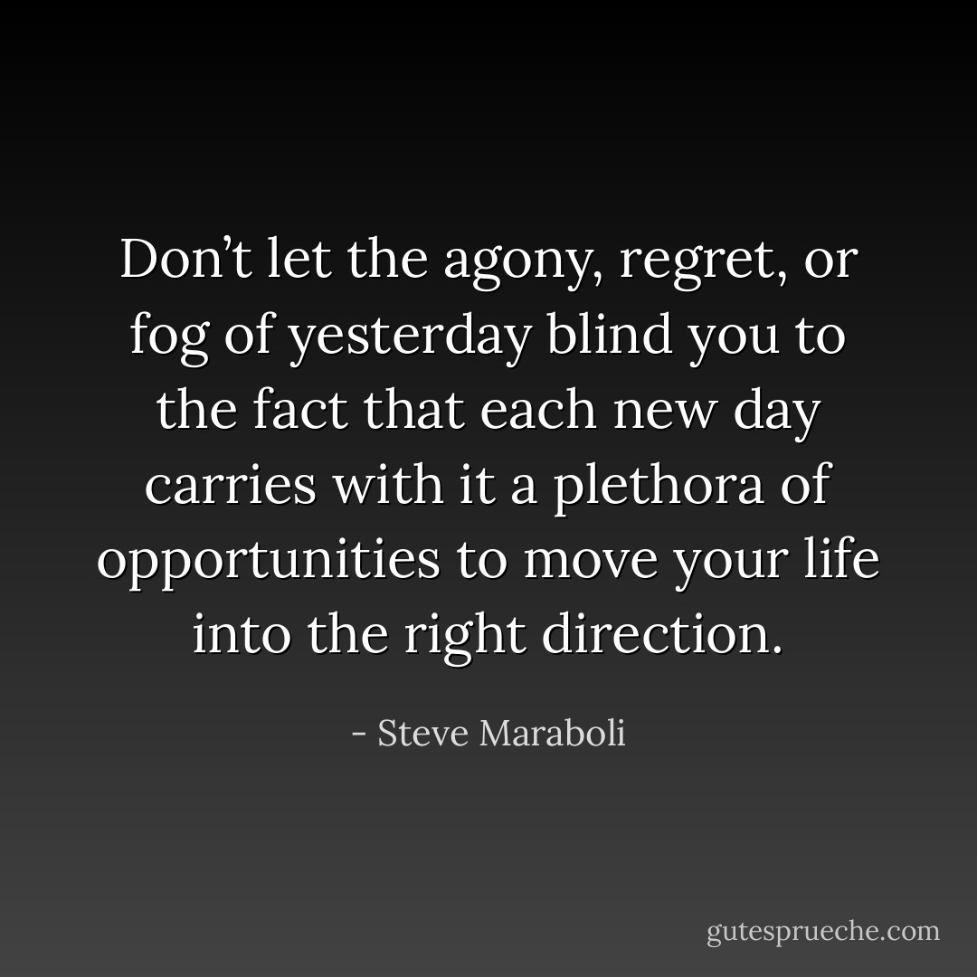 Don’t let the agony, regret, or fog of yesterday blind you to the fact that each new day carries with it a plethora of opportunities to move your life into the right direction. - Steve Maraboli