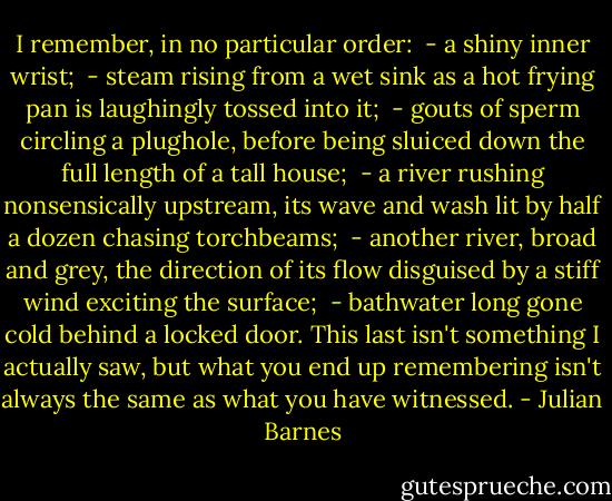 I remember, in no particular order: <br />- a shiny inner wrist; <br />- steam rising from a wet sink as a hot frying pan is laughingly tossed into it; <br />- gouts of sperm circling a plughole, before being sluiced down the full length of a tall house; <br />- a river rushing nonsensically upstream, its wave and wash lit by half a dozen chasing torchbeams; <br />- another river, broad and grey, the direction of its flow disguised by a stiff wind exciting the surface; <br />- bathwater long gone cold behind a locked door. This last isn't something I actually saw, but what you end up remembering isn't always the same as what you have witnessed. - Julian Barnes