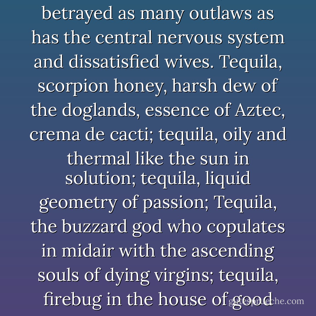 Now tequila may be the favored beverage of outlaws but that doesn't mean it gives them preferential treatment. In fact, tequila probably has betrayed as many outlaws as has the central nervous system and dissatisfied wives. Tequila, scorpion honey, harsh dew of the doglands, essence of Aztec, crema de cacti; tequila, oily and thermal like the sun in solution; tequila, liquid geometry of passion; Tequila, the buzzard god who copulates in midair with the ascending souls of dying virgins; tequila, firebug in the house of good taste; O tequila, savage water of sorcery, what confusion and mischief your sly, rebellious drops do generate! - Tom Robbins