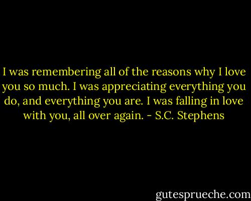 I was remembering all of the reasons why I love you so much. I was appreciating everything you do, and everything you are. I was falling in love with you, all over again. - S.C. Stephens