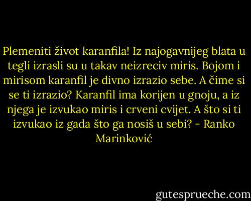 Plemeniti život karanfila! Iz najogavnijeg blata u tegli izrasli su u takav neizreciv miris. Bojom i mirisom karanfil je divno izrazio sebe. A čime si se ti izrazio? Karanfil ima korijen u gnoju, a iz njega je izvukao miris i crveni cvijet. A što si ti izvukao iz gada što ga nosiš u sebi? - Ranko Marinković
