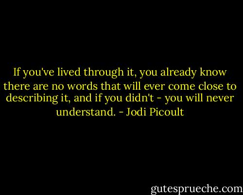 If you've lived through it, you already know there are no words that will ever come close to describing it, and if you didn't - you will never understand. - Jodi Picoult