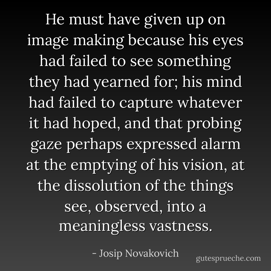 He must have given up on image making because his eyes had failed to see something they had yearned for; his mind had failed to capture whatever it had hoped, and that probing gaze perhaps expressed alarm at the emptying of his vision, at the dissolution of the things see, observed, into a meaningless vastness. - Josip Novakovich