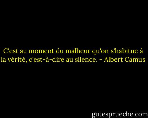 C'est au moment du malheur qu'on s'habitue à la vérité, c'est-à-dire au silence. - Albert Camus