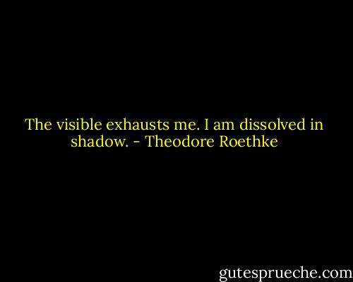 The visible exhausts me. I am dissolved in shadow. - Theodore Roethke