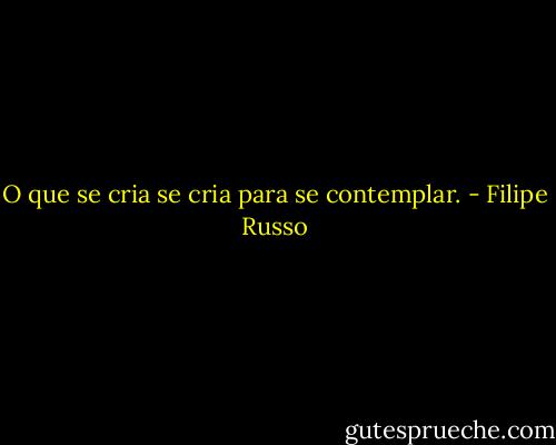O que se cria se cria para se contemplar. - Filipe Russo