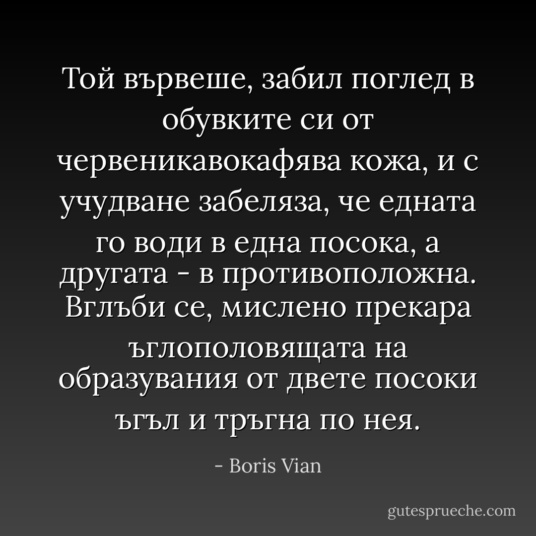 Той вървеше, забил поглед в обувките си от червеникавокафява кожа, и с учудване забеляза, че едната го води в една посока, а другата - в противоположна. Вглъби се, мислено прекара ъглополовящата на образувания от двете посоки ъгъл и тръгна по нея. - Boris Vian