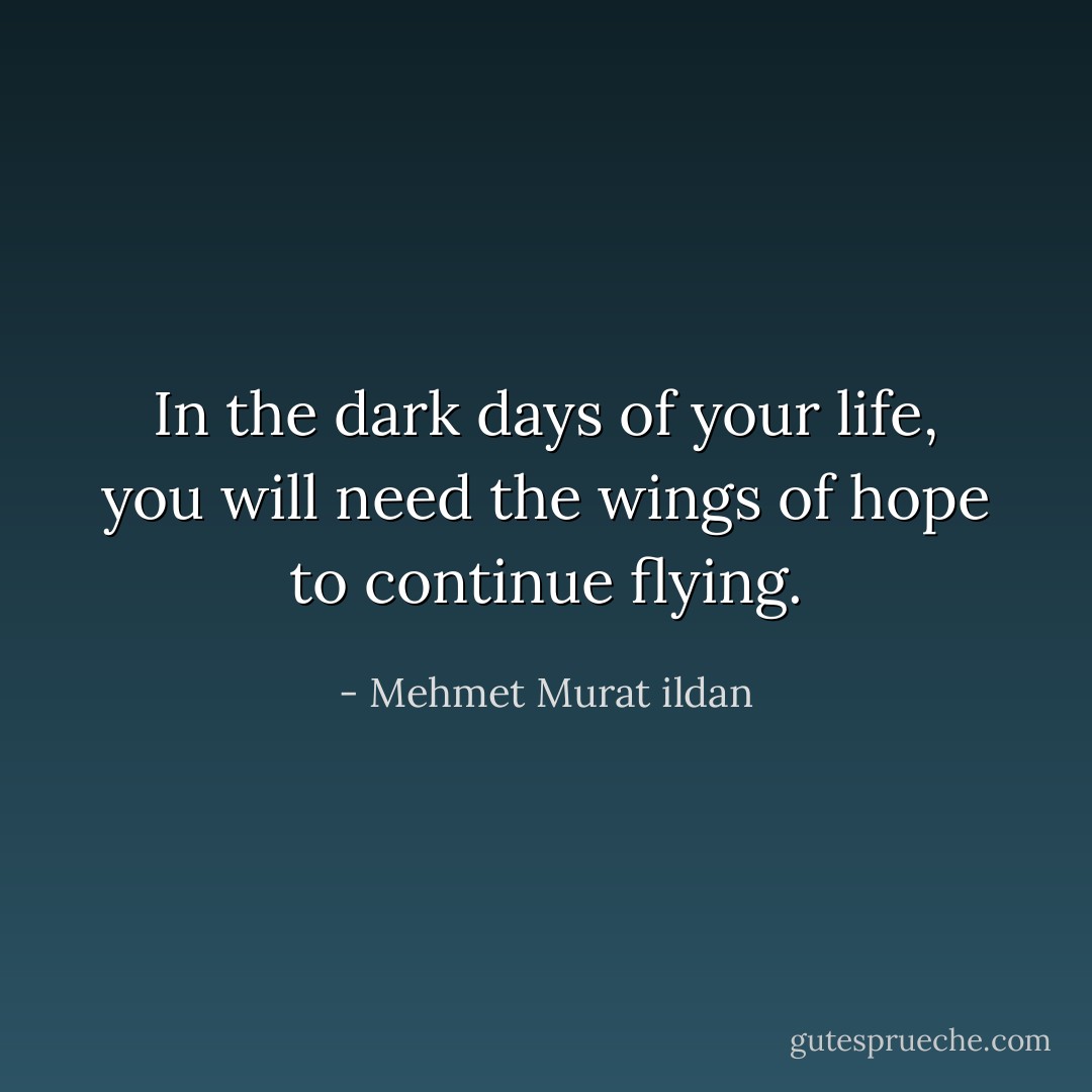 In the dark days of your life, you will need the wings of hope to continue flying. - Mehmet Murat ildan