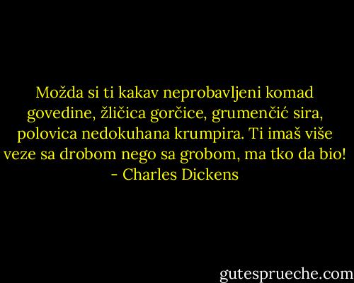 Možda si ti kakav neprobavljeni komad govedine, žličica gorčice, grumenčić sira, polovica nedokuhana krumpira. Ti imaš više veze sa drobom nego sa grobom, ma tko da bio! - Charles Dickens