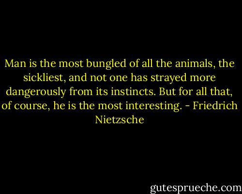 Man is the most bungled of all the animals, the sickliest, and not one has strayed more dangerously from its instincts. But for all that, of course, he is the most interesting. - Friedrich Nietzsche