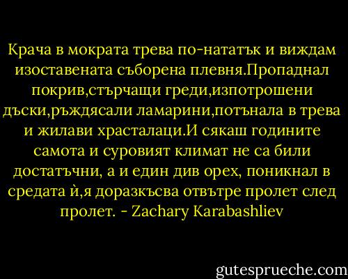 Крача в мократа трева по-нататък и виждам изоставената съборена плевня.Пропаднал покрив,стърчащи греди,изпотрошени дъски,ръждясали ламарини,потънала в трева и жилави храсталаци.И сякаш годините самота и суровият климат не са били достатъчни, а и един див орех, поникнал в средата ѝ,я доразкъсва отвътре пролет след пролет. - Zachary Karabashliev