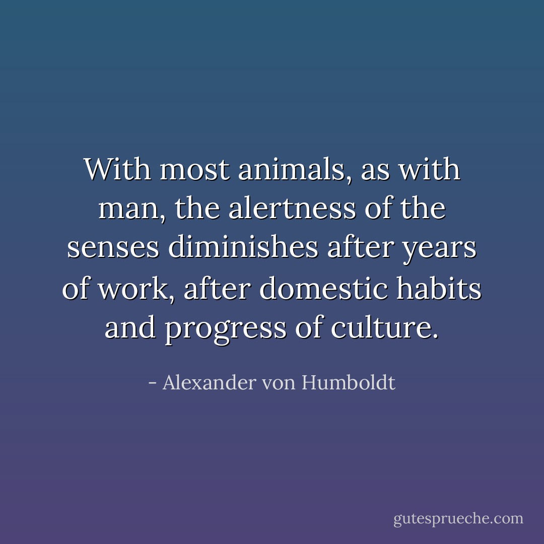 With most animals, as with man, the alertness of the senses diminishes after years of work, after domestic habits and progress of culture. - Alexander von Humboldt