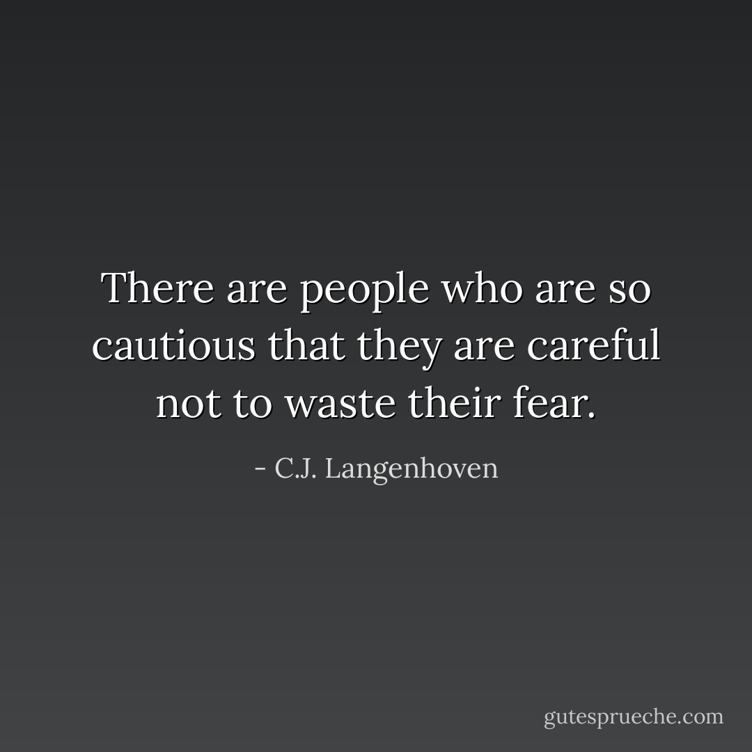 There are people who are so cautious that they are careful not to waste their fear. - C.J. Langenhoven