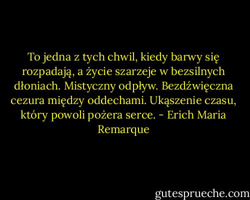 To jedna z tych chwil, kiedy barwy się rozpadają, a życie szarzeje w bezsilnych dłoniach. Mistyczny odpływ. Bezdźwięczna cezura między oddechami. Ukąszenie czasu, który powoli pożera serce. - Erich Maria Remarque