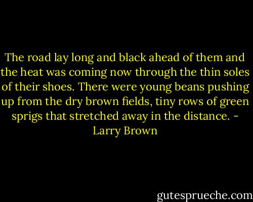 The road lay long and black ahead of them and the heat was coming now through the thin soles of their shoes. There were young beans pushing up from the dry brown fields, tiny rows of green sprigs that stretched away in the distance. - Larry Brown