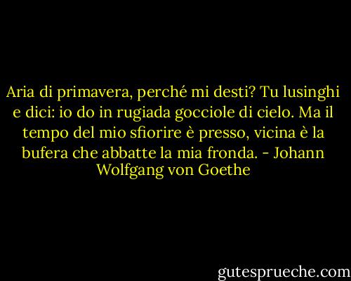 Aria di primavera, perché mi desti? Tu lusinghi e dici: io do in rugiada gocciole di cielo. Ma il tempo del mio sfiorire è presso, vicina è la bufera che abbatte la mia fronda. - Johann Wolfgang von Goethe
