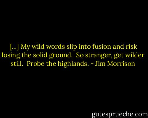 [...] My wild words<br />slip into fusion<br />and risk losing<br />the solid ground.<br /><br />So stranger, get<br />wilder still.<br /><br />Probe the highlands. - Jim Morrison