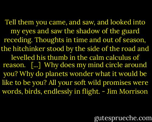 Tell them you came, and saw, and looked<br />into my eyes and saw the shadow<br />of the guard receding.<br />Thoughts in time and out of season,<br />the hitchinker stood by the side of the road<br />and levelled his thumb in the<br />calm calculus of reason.<br /> <br />[...] <br />Why does my mind circle around you?<br />Why do planets wonder what it<br />would be like to be you?<br />All your soft wild promises were words,<br />birds, endlessly in flight. - Jim Morrison