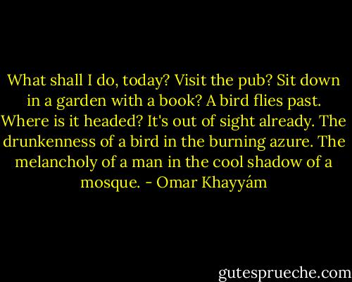 What shall I do, today? Visit the pub?<br />Sit down in a garden with a book? A bird<br />flies past. Where is it headed? It's out of<br />sight already. The drunkenness of a bird in the<br />burning azure. The melancholy of a man<br />in the cool shadow of a mosque. - Omar Khayyám