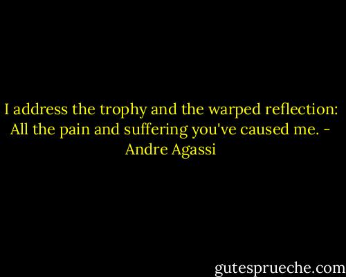 I address the trophy and the warped reflection: All the pain and suffering you've caused me. - Andre Agassi