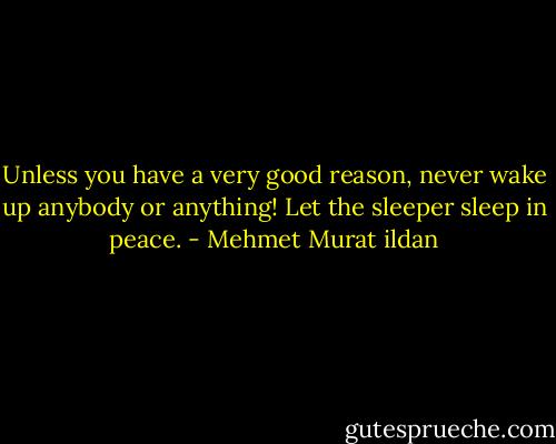 Unless you have a very good reason, never wake up anybody or anything! Let the sleeper sleep in peace. - Mehmet Murat ildan