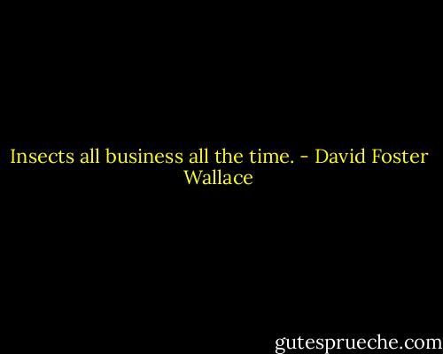 Insects all business all the time. - David Foster Wallace