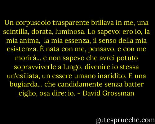 Un corpuscolo trasparente<br />brillava in me, una scintilla,<br />dorata, luminosa. Lo sapevo:<br />ero io, la mia anima, <br />la mia essenza, il senso<br />della mia esistenza. È nata<br />con me, pensavo, e con me<br />morirà...<br />e non sapevo che avrei potuto<br />sopravviverle a lungo,<br />divenire io stessa un'esiliata, un essere umano<br />inaridito.<br />E una bugiarda...<br />che candidamente<br />senza batter ciglio,<br />osa dire:<br />io. - David Grossman