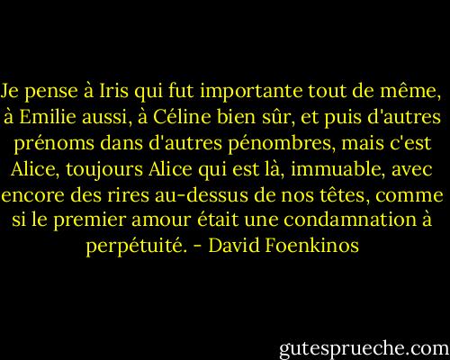 Je pense à Iris qui fut importante tout de même, à Emilie aussi, à Céline bien sûr, et puis d'autres prénoms dans d'autres pénombres, mais c'est Alice, toujours Alice qui est là, immuable, avec encore des rires au-dessus de nos têtes, comme si le premier amour était une condamnation à perpétuité. - David Foenkinos